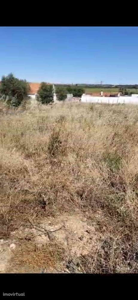 Lote Urbano 1072m2 com poço- Montes Velhos Aljustrel - Grande imagem: 3/3