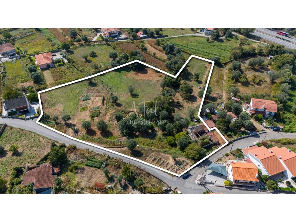 Terreno de 9823m² com Casa em Ruína na Ribeira, Ponte de Lima - Grande imagem: 2/2