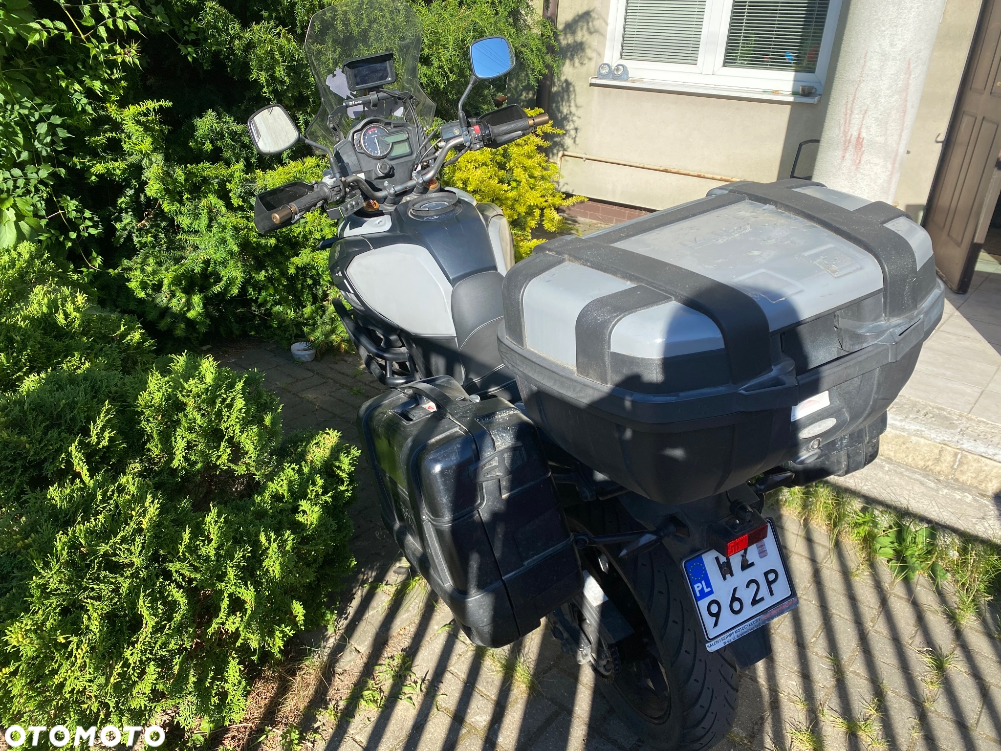 Suzuki DL