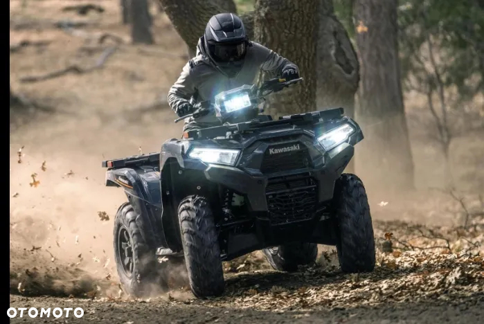 Kawasaki Brute Force - 12