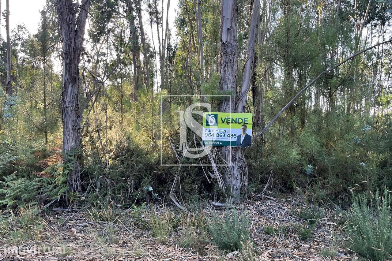 Terreno  Venda em Canas de Santa Maria,Tondela - Grande imagem: 4/6
