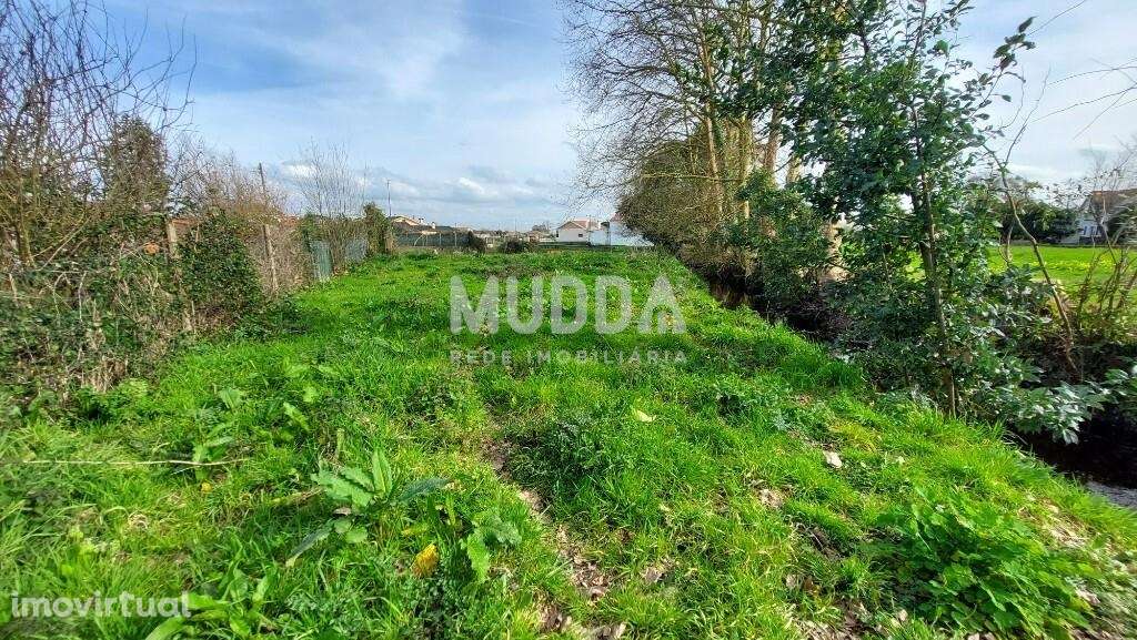 Terreno Rústico de 700 m2 com Viabilidade de Construção em Pardilhó - - Grande imagem: 3/4