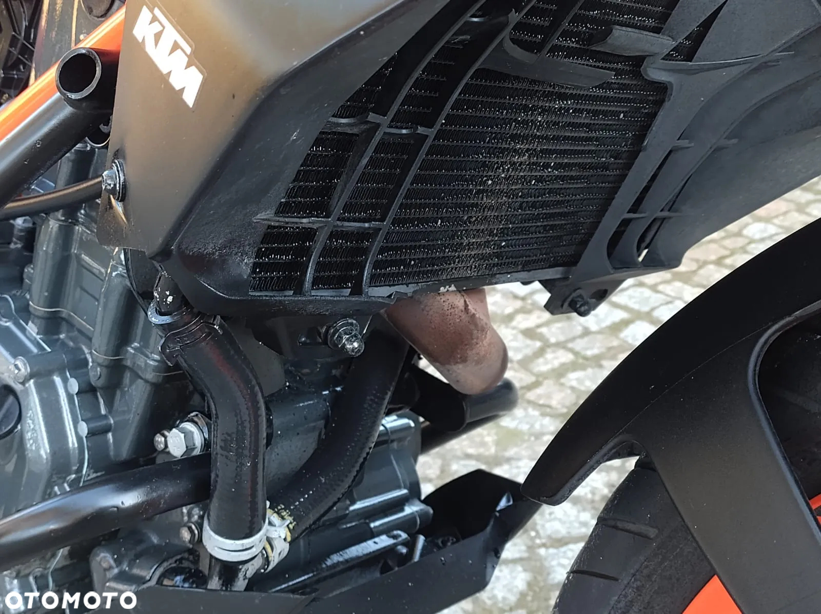 KTM Duke - 34