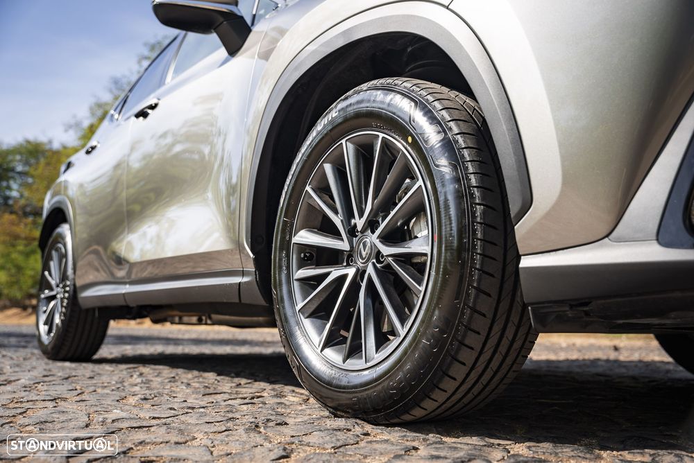 Lexus NX 450h+ - 14