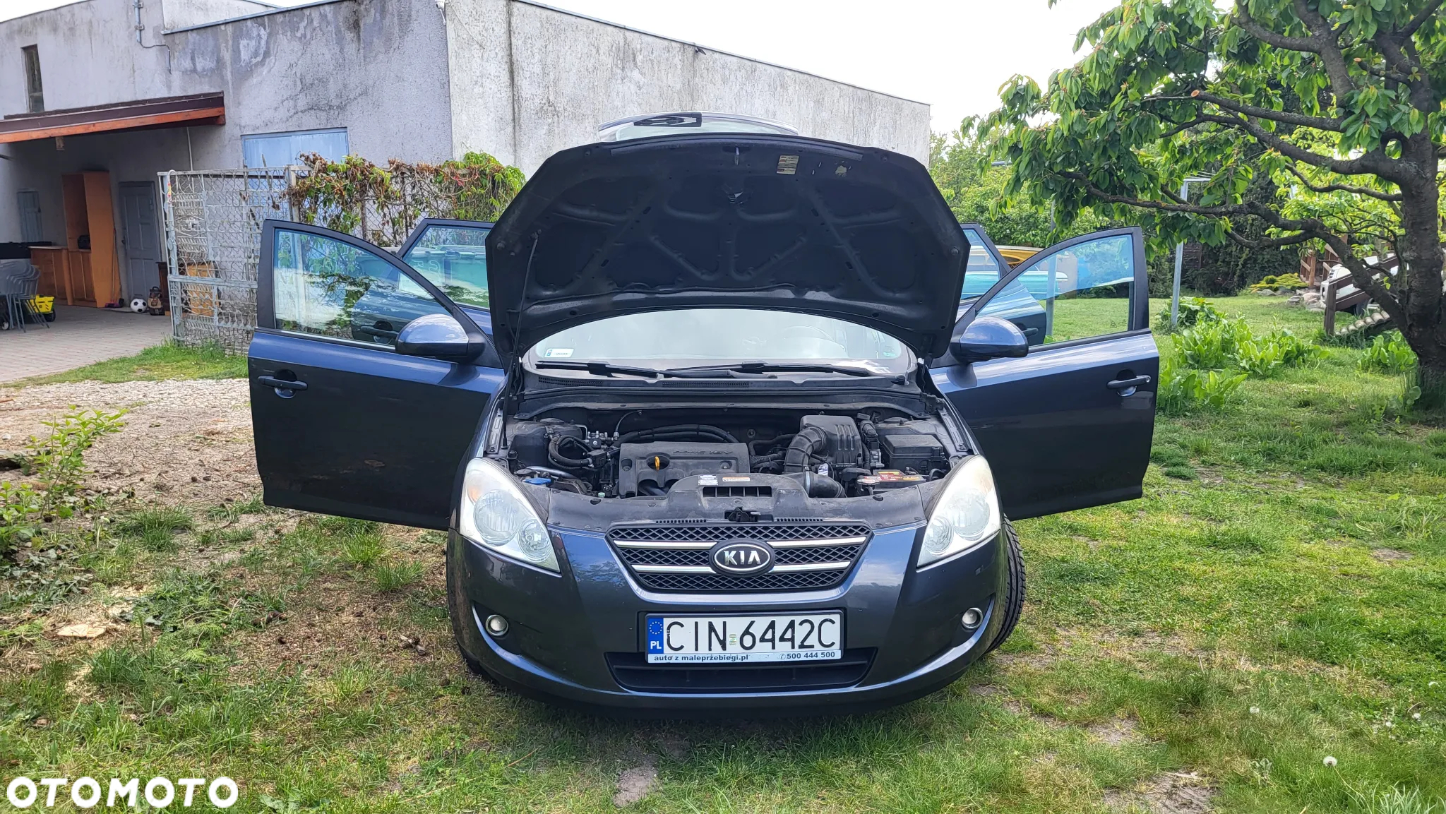 Kia Ceed - 31