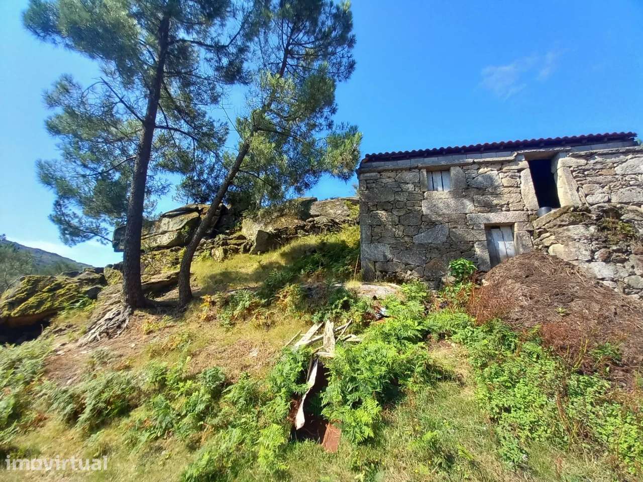 Quinta — Arcos de Valdevez - Grande imagem: 3/34