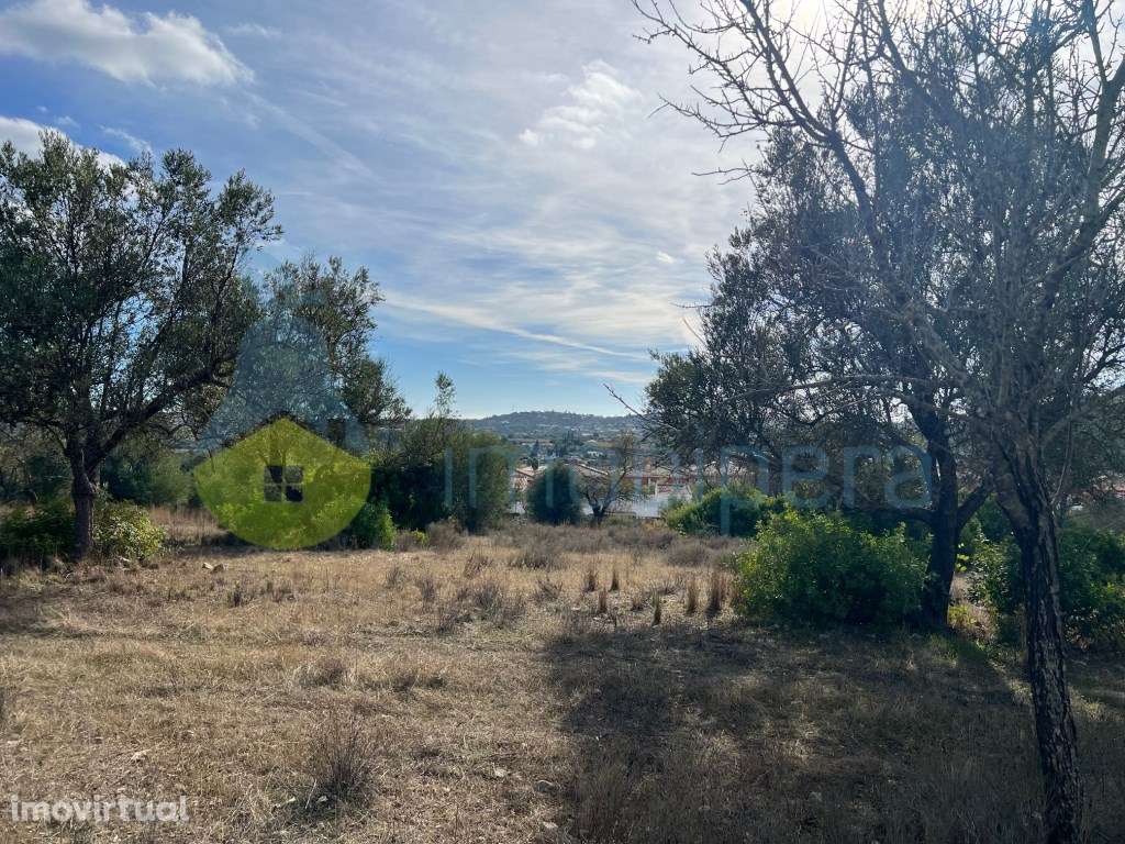 TERRENO RÚSTICO COM ZONA DE EQUADRAMENTO DE EDIFICAÇÃO DISPERSA - Grande imagem: 3/29