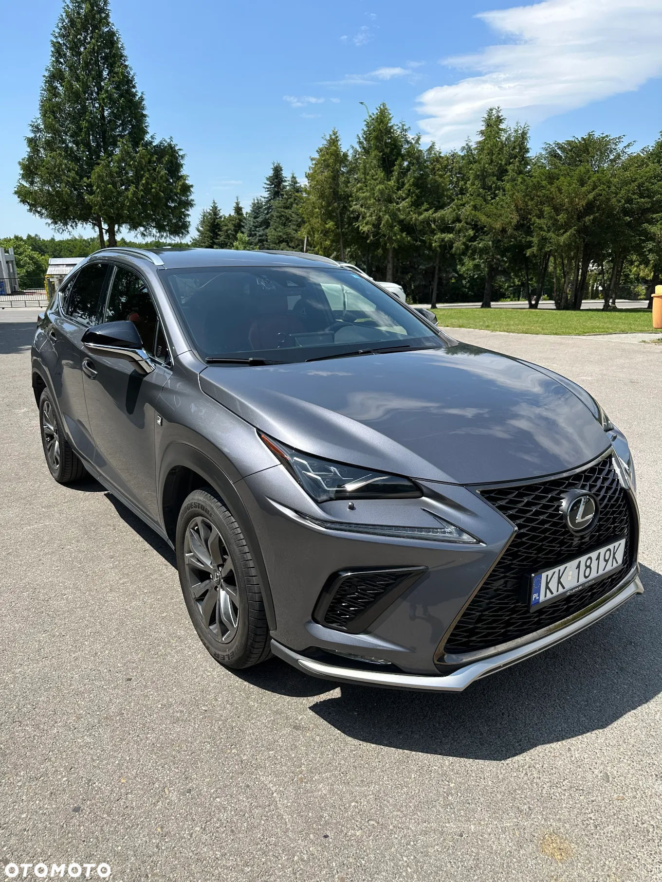 Lexus NX 300 F Sport AWD - 9