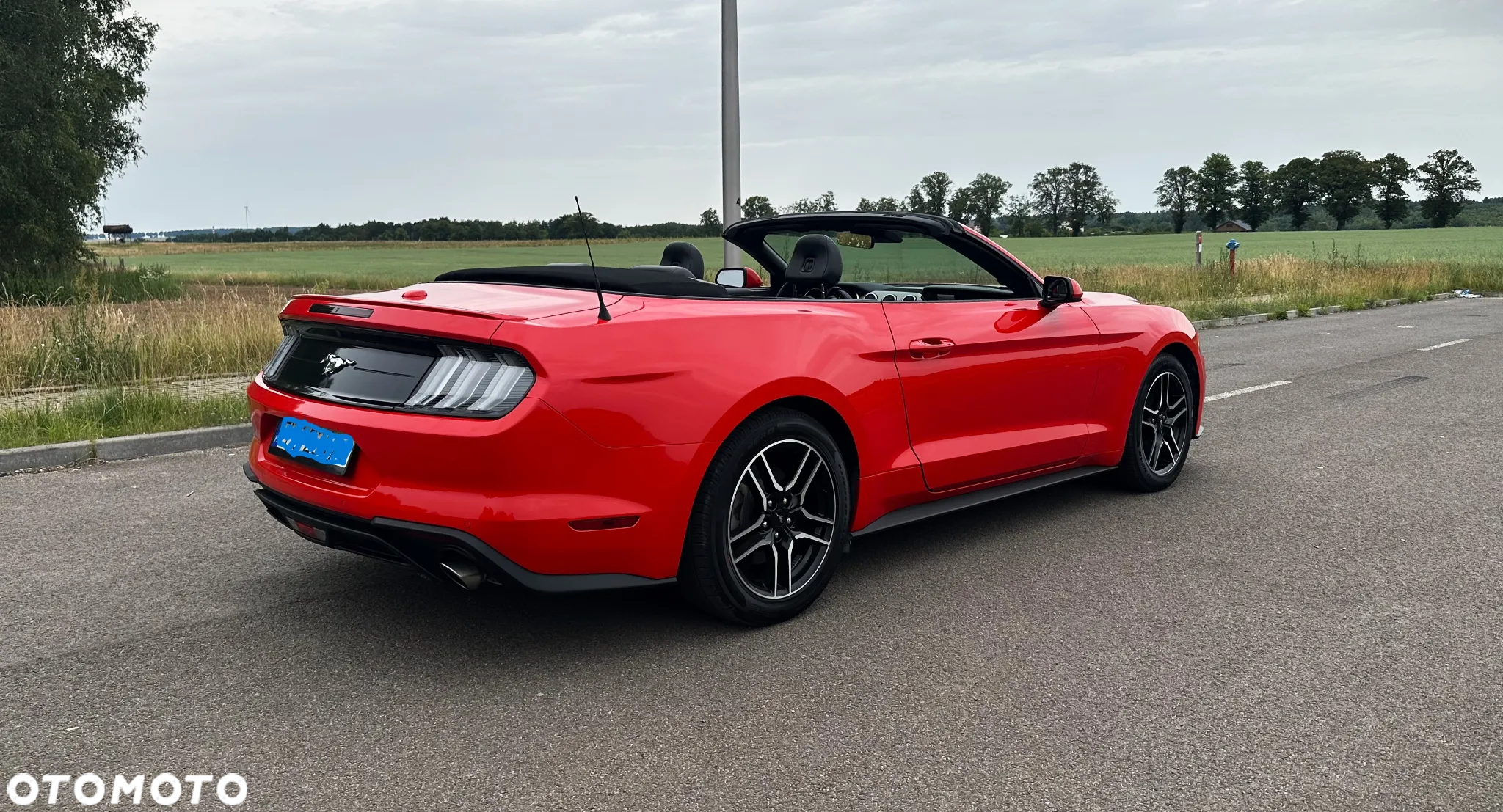 Ford Mustang 2.3 EcoBoost - 12