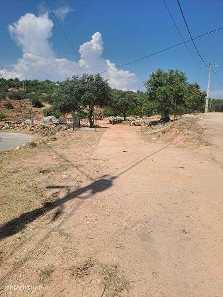 Terreno/ estaleiro para alugar - Grande imagem: 2/4