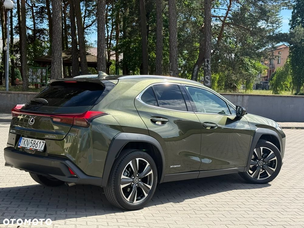 Lexus UX 250h F Sport 2WD - 19