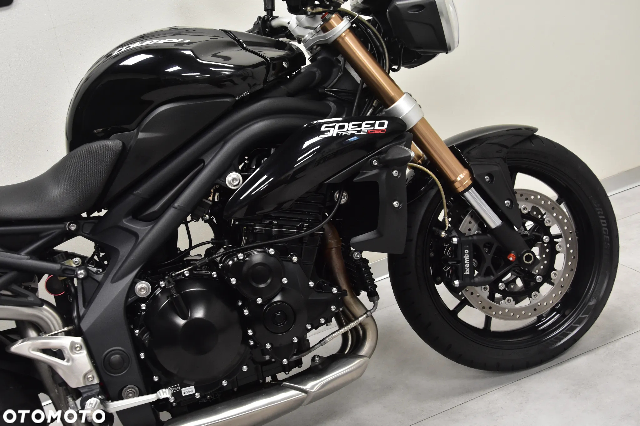 Triumph Speed Triple - 11