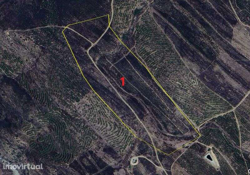 Prédios Rústicos - Alcoutim - Grande imagem: 2/6