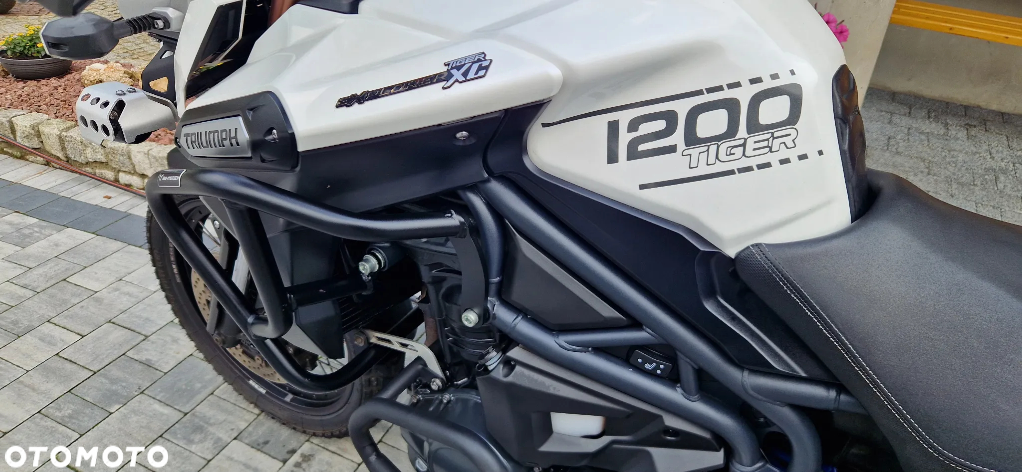 Triumph Tiger - 9