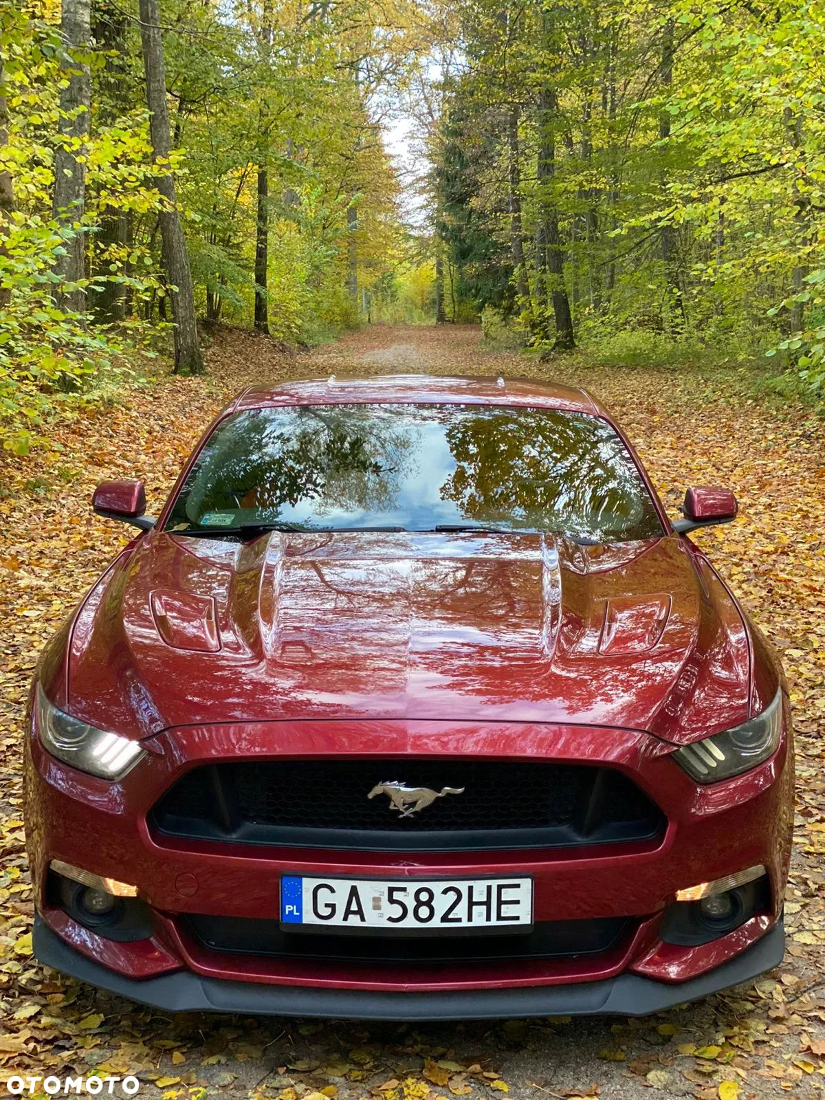 Ford Mustang 5.0 Ti-VCT V8 GT - 7