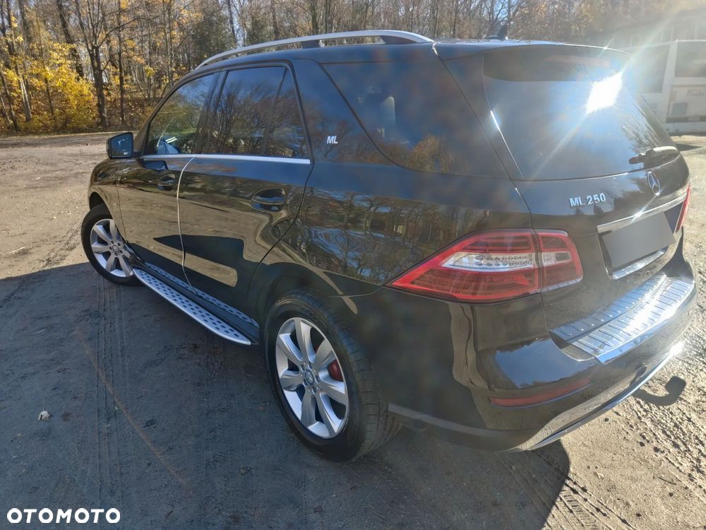 Mercedes-Benz ML 250 BlueTEC 4-Matic - 5