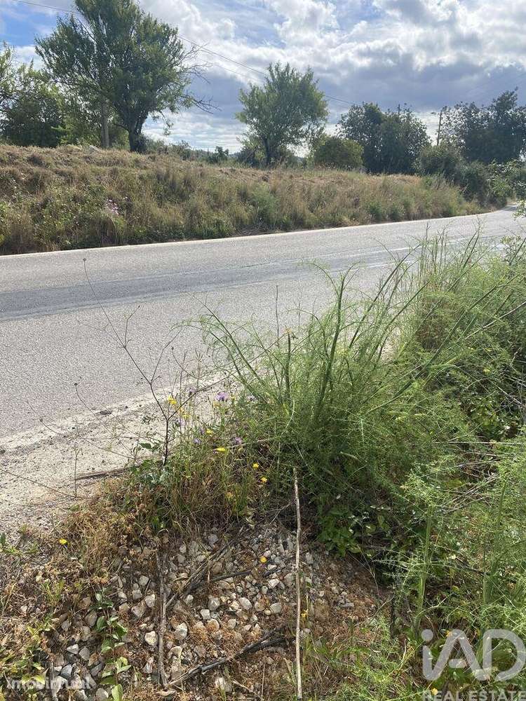 Terreno Agrícola em Loulé (São Sebastião) - Grande imagem: 4/16
