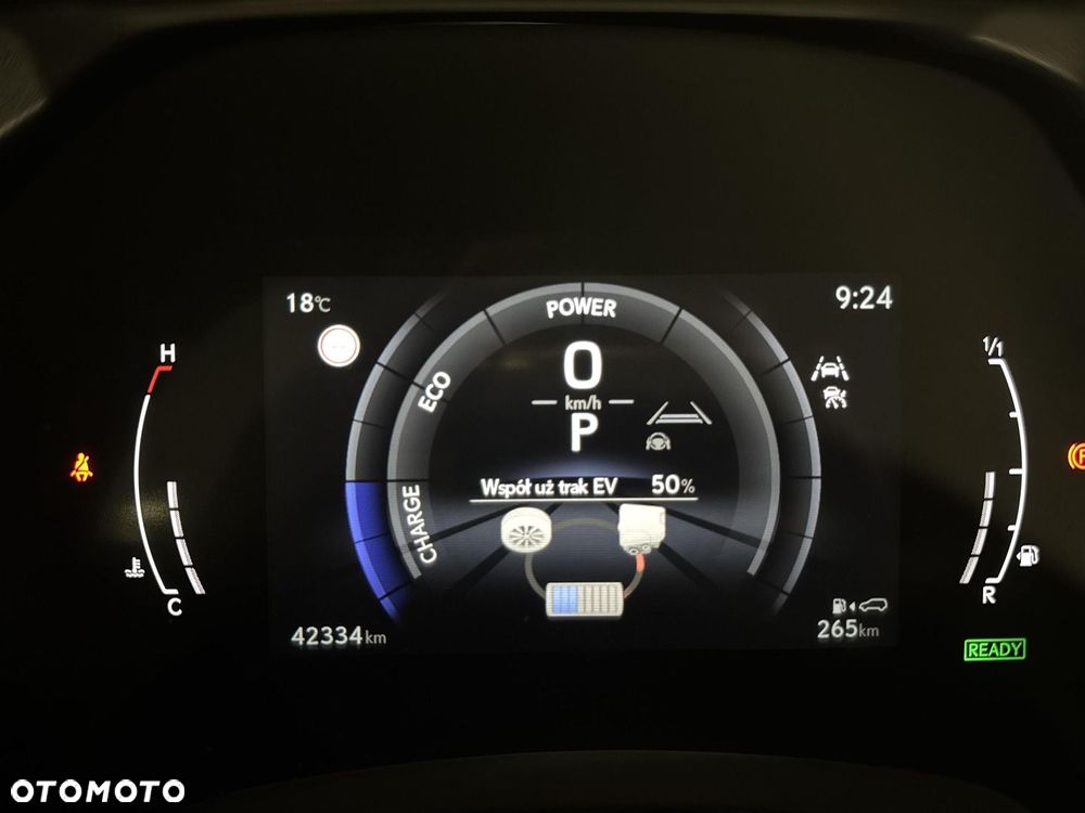 Lexus RX - 21