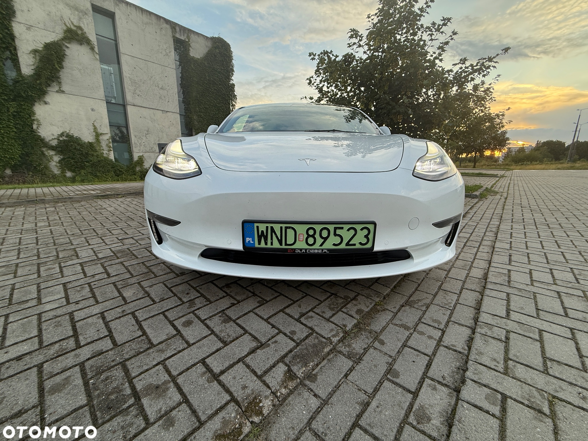 Tesla Model 3 - 9