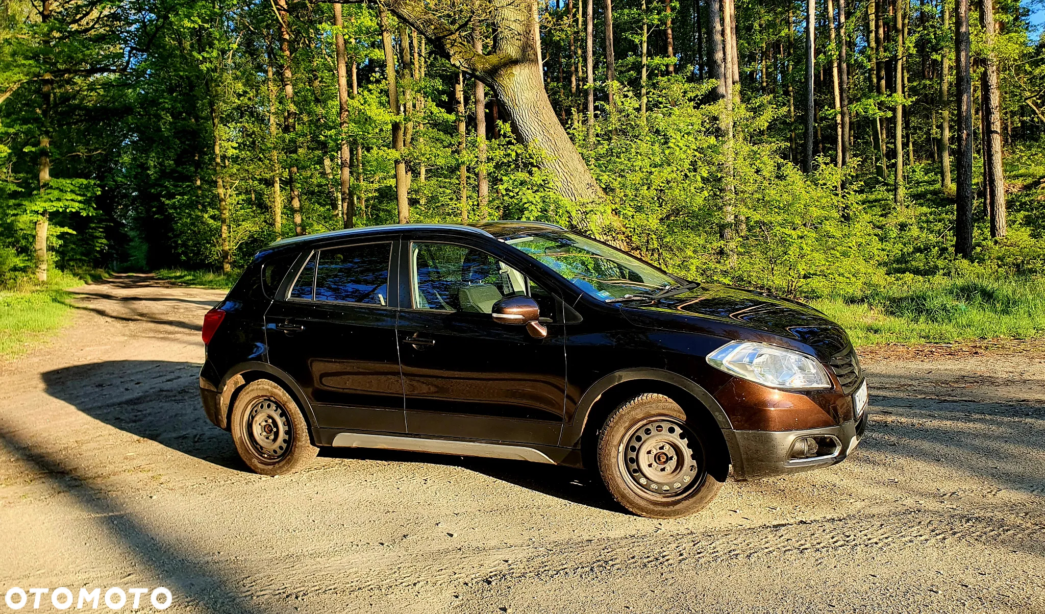Suzuki SX4 S-Cross 1.6 DDiS Premium 4WD - 2