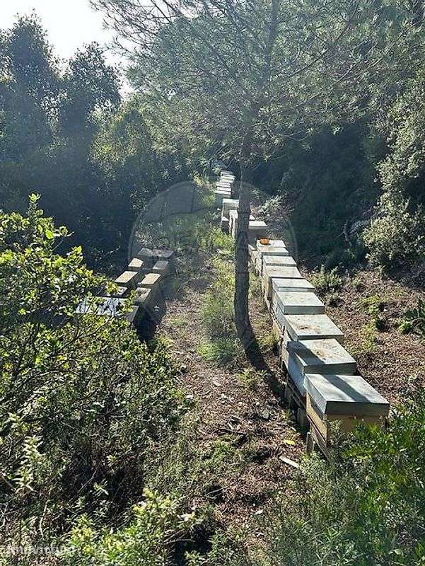 Terreno  para venda - Grande imagem: 5/17