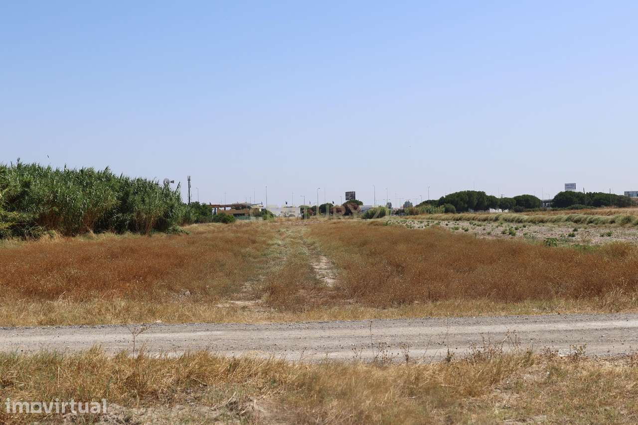 Terreno 1.6 Ha Samouco - Alcochete - Grande imagem: 5/9