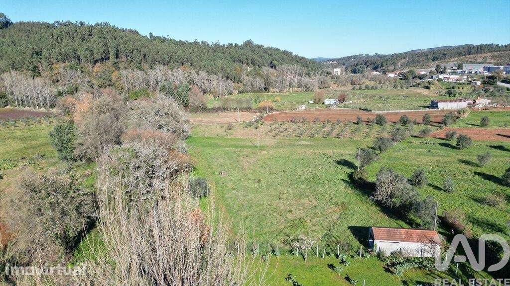 Terreno para construção em São Miguel, Santa Eufémia e Rabaçal - Grande imagem: 4/19