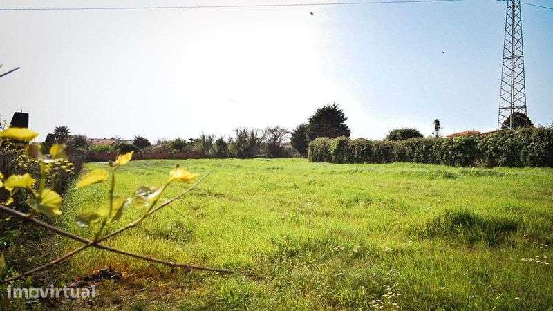 Terreno com 3.000 m² em Lavra - Matosinhos - 2 km da Praia - Grande imagem: 2/12