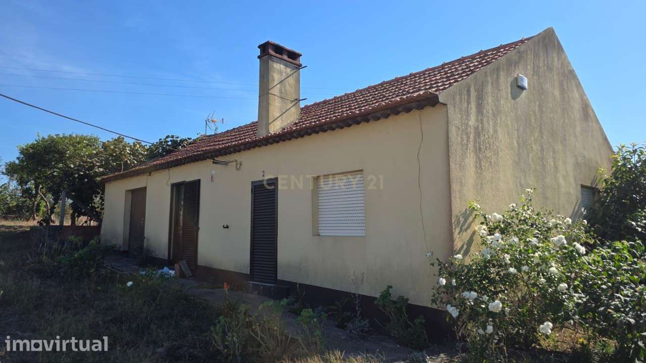 Moradia T2 com 894 m² de Terreno – O Seu Refúgio no Campo - Grande imagem: 3/49