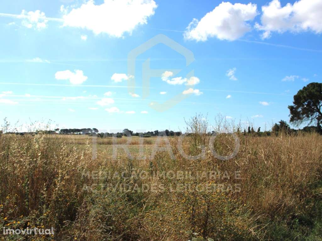 Terreno Rústico com 48.400 m2 - Grande imagem: 3/7