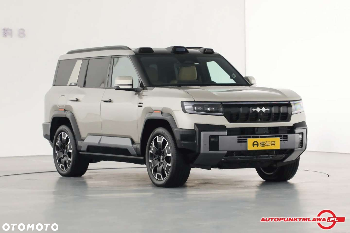 BYD Leopard 8 - 3