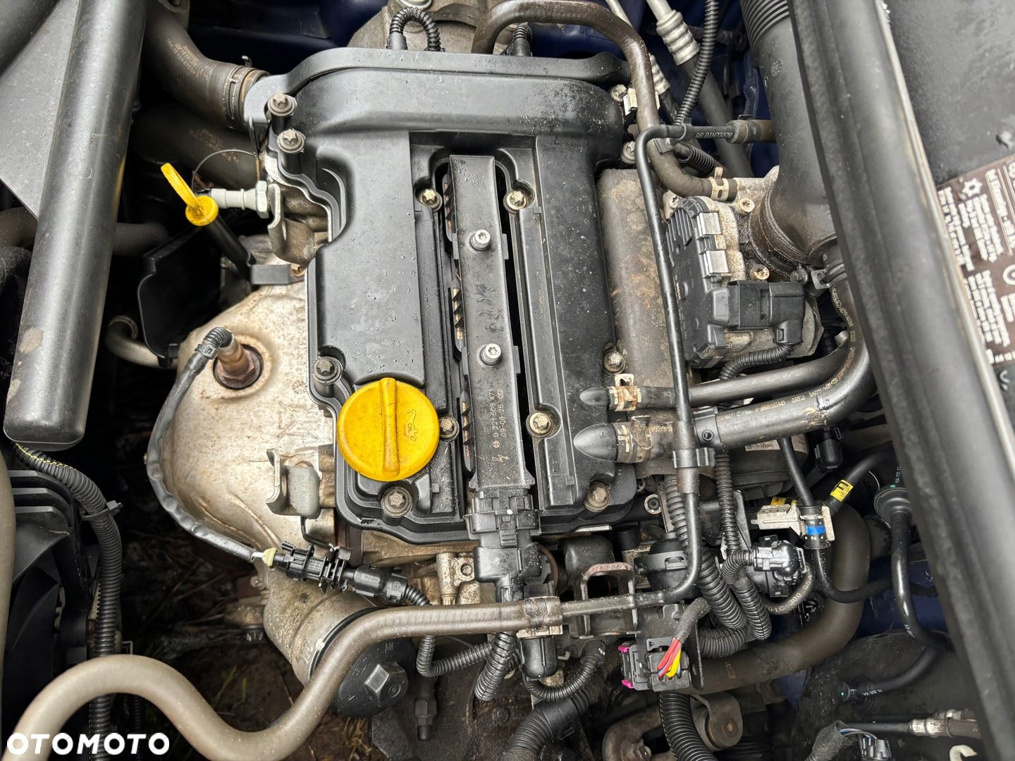 OPEL CORSA C D AGILA A SILNIK KOMPLETNY 1.0 KOD Z10XEP W AUCIE FILM - 3
