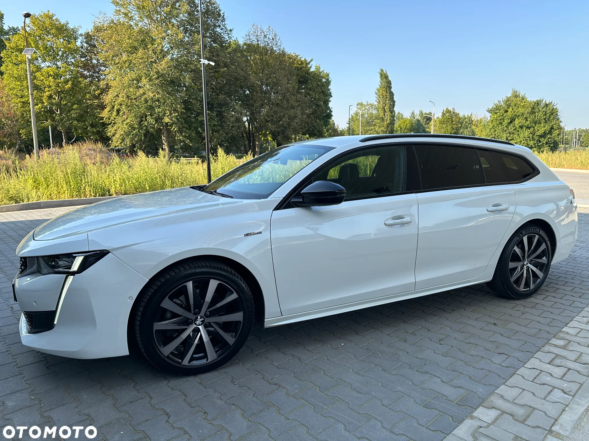 Peugeot 508 2.0 BlueHDi GT Line S&S EAT8 - 12