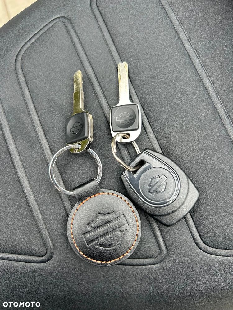 Harley-Davidson Pan America - 14