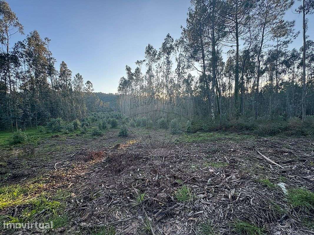Terreno  para venda - Grande imagem: 3/14