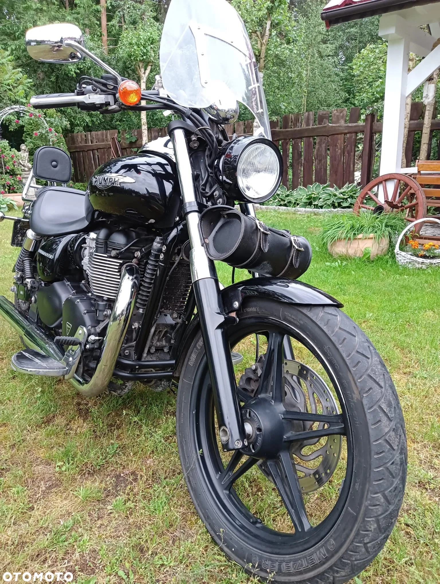 Triumph Speedmaster - 2