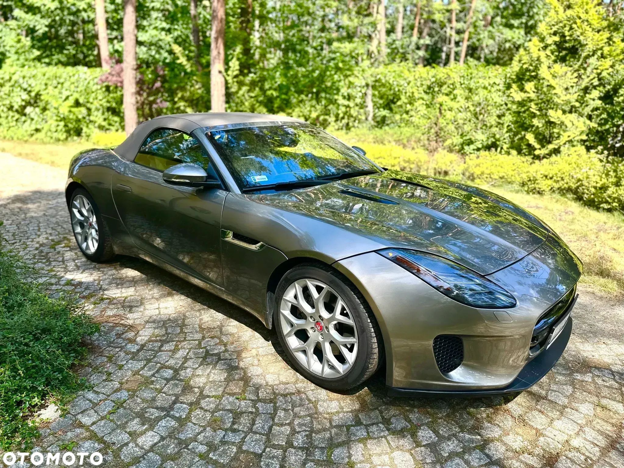 Jaguar F-Type 2.0 Turbo Chequered Flag - 1