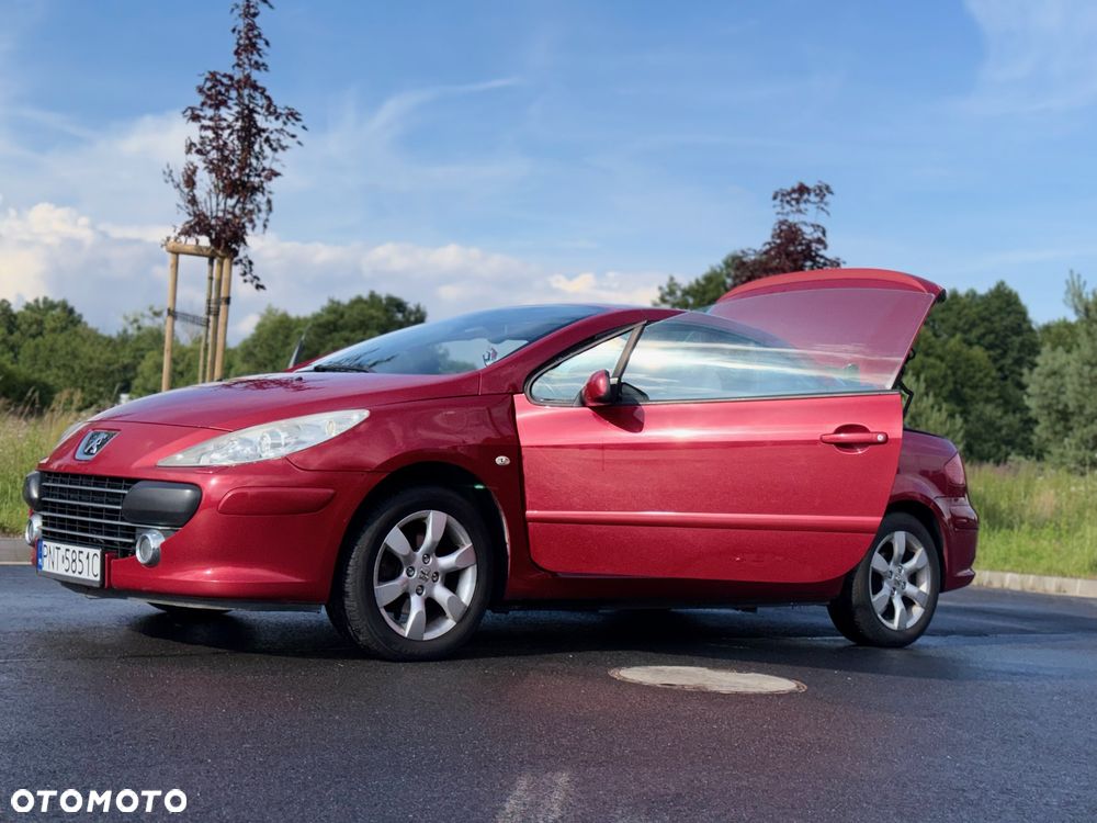 Peugeot 307 - 16