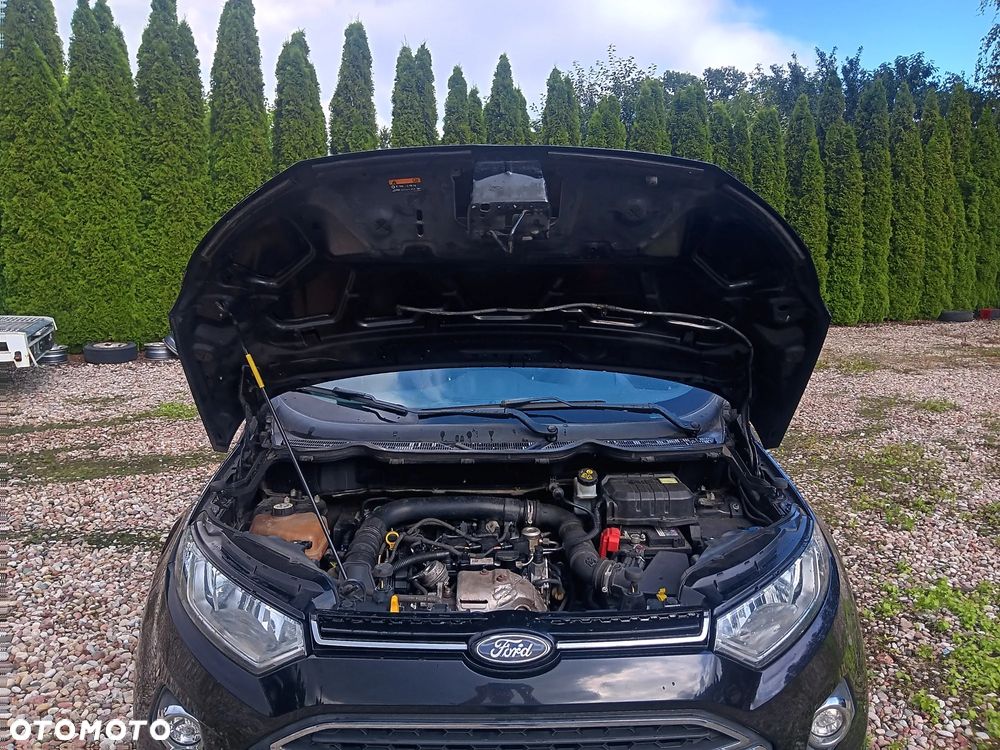 Ford EcoSport 1.0 EcoBoost GPF Navi Edition ASS - 19