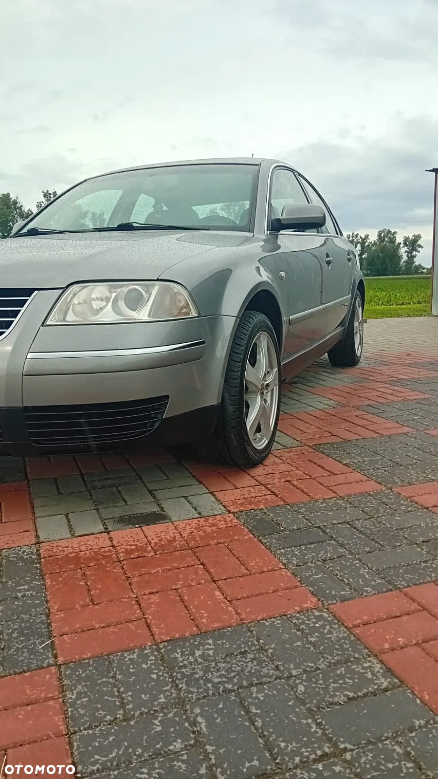 Volkswagen Passat - 4