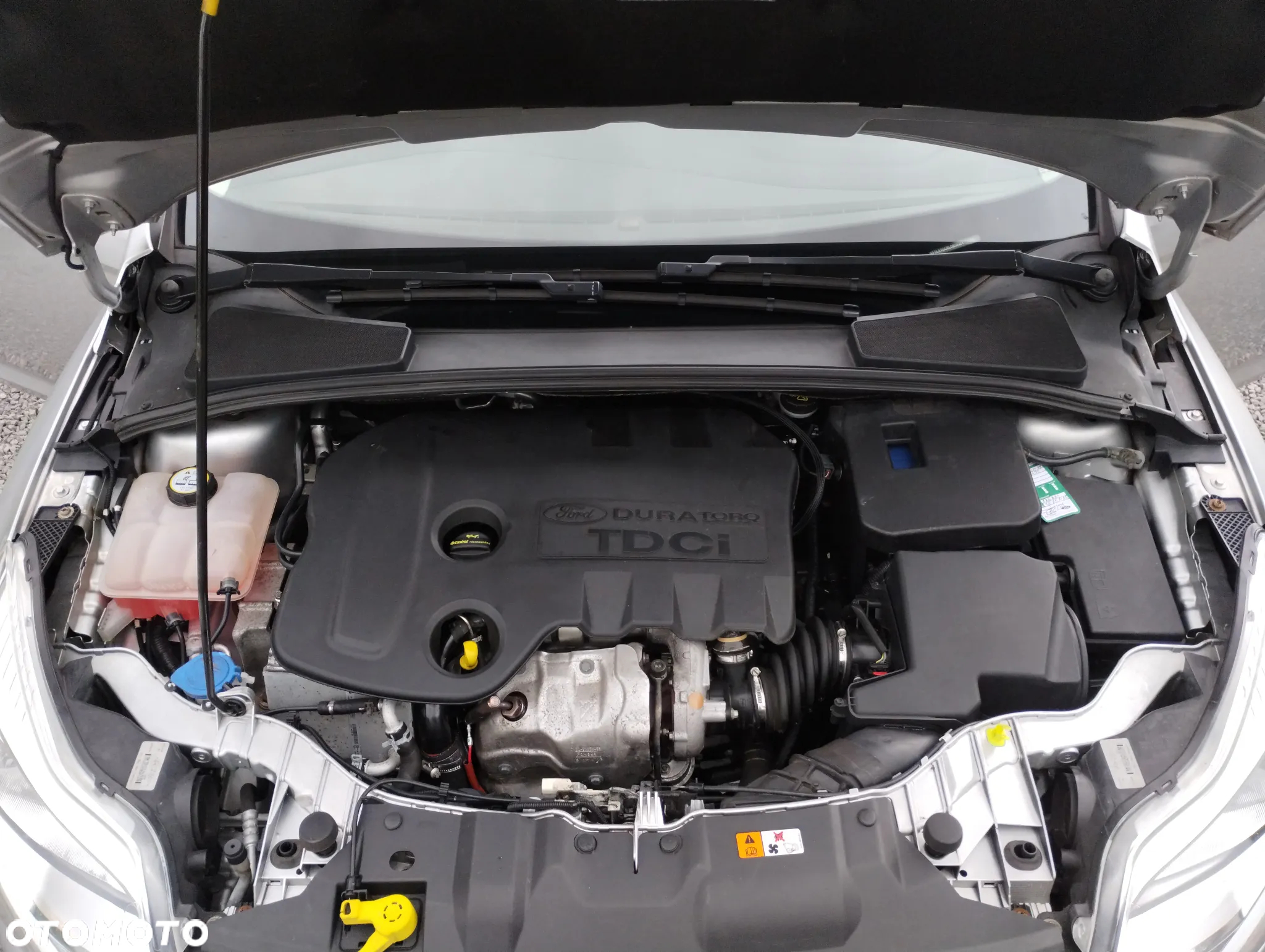 Ford Focus 1.6 TDCi ECOnetic 88g Start-Stopp-System Trend - 36