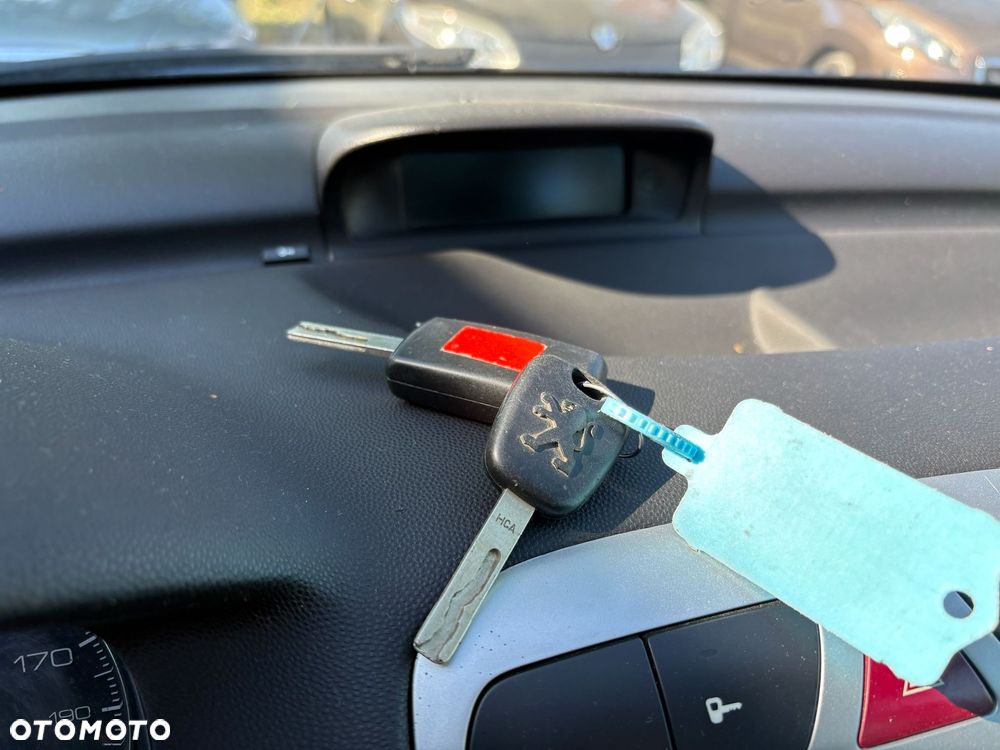 Peugeot 307 110 Premium - 16