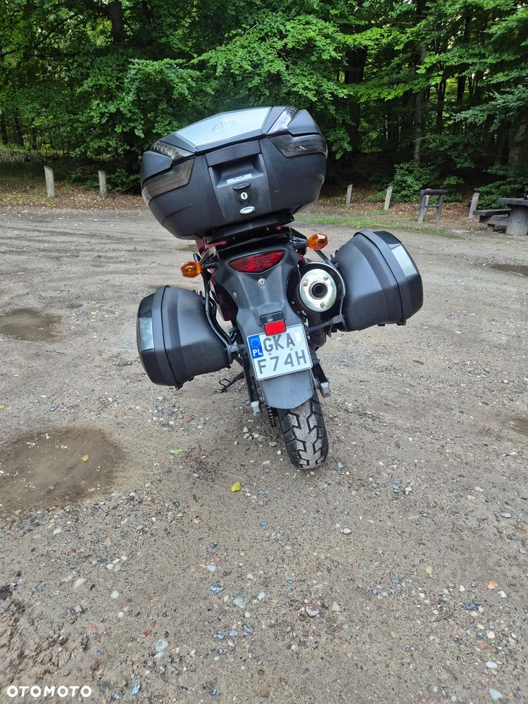 Suzuki DL - 8