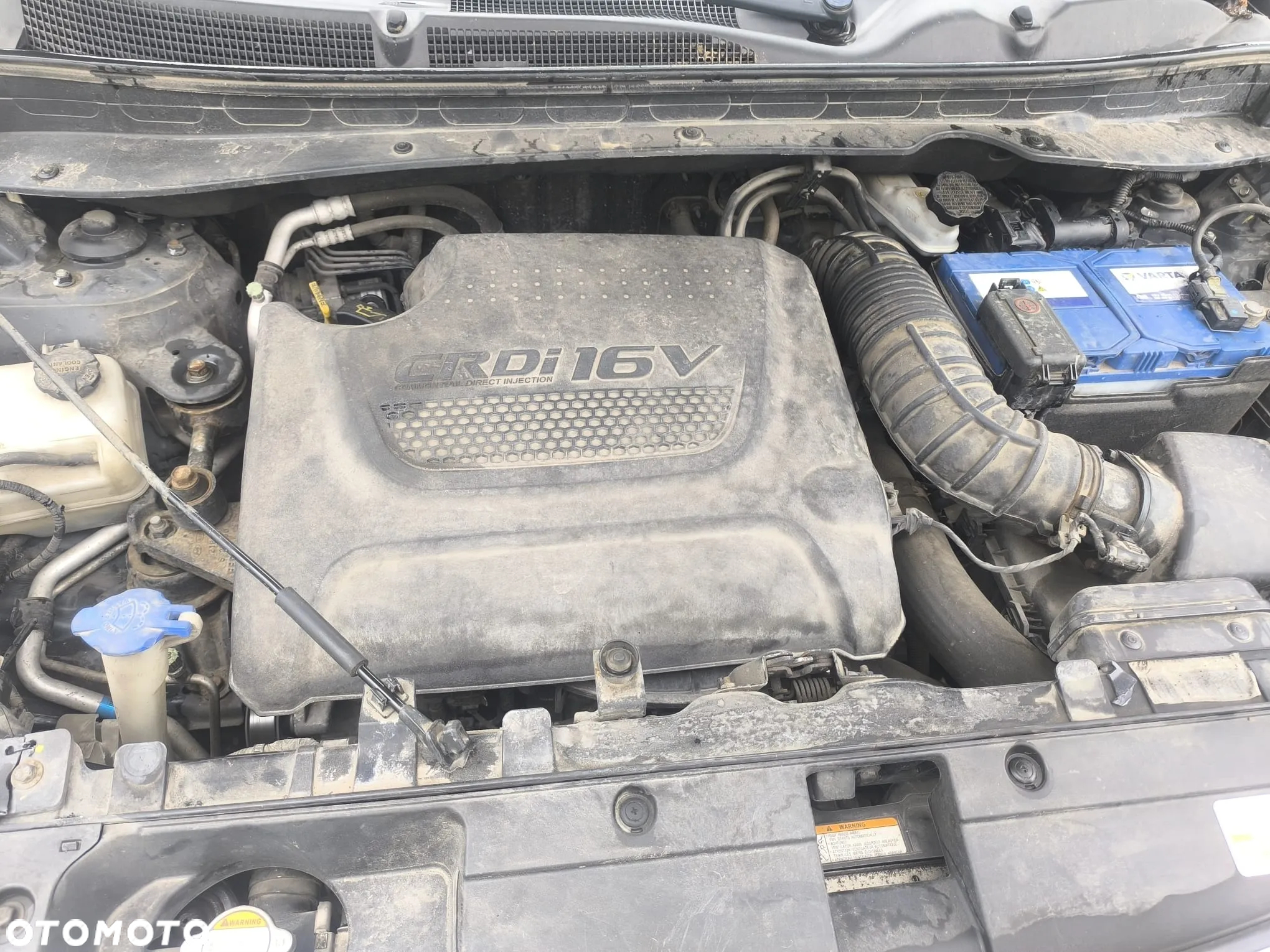 Kia Sportage 2,0 CRDI 2WD Vision - 11