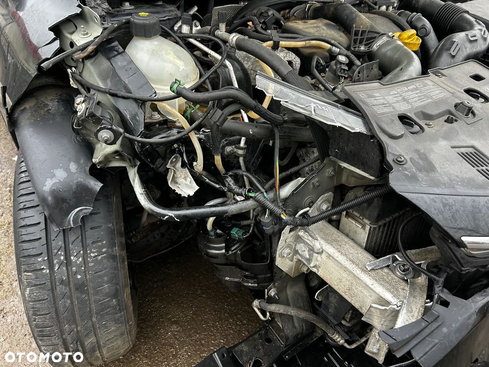 Renault Clio - 24