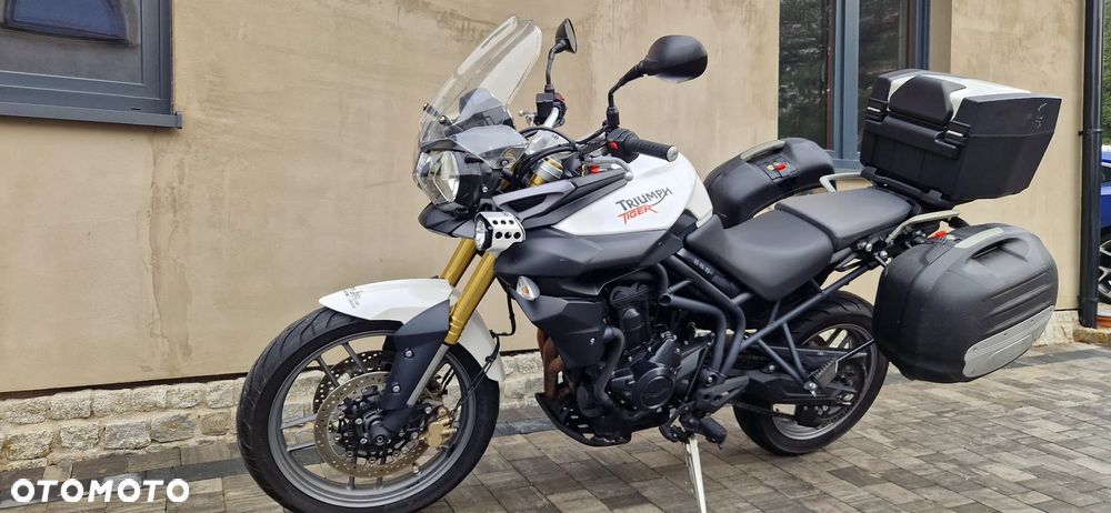 Triumph Tiger