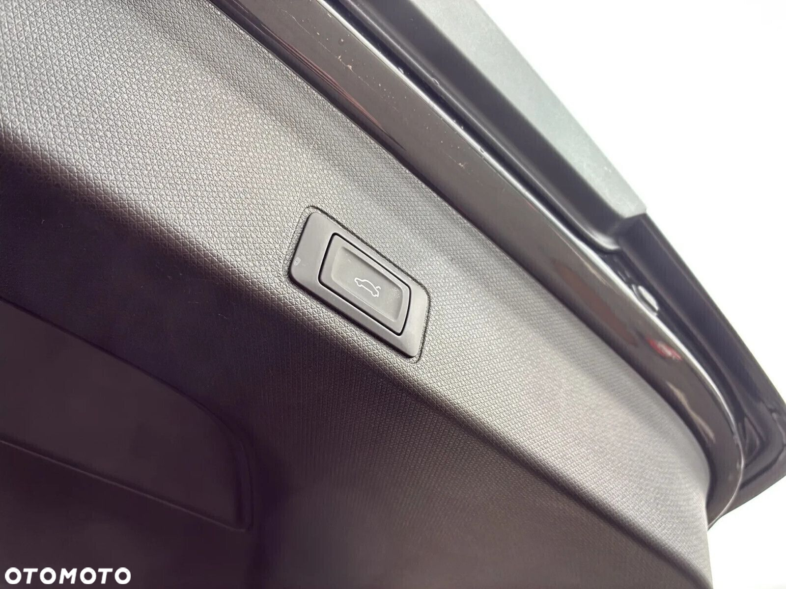Cupra Terramar - 13
