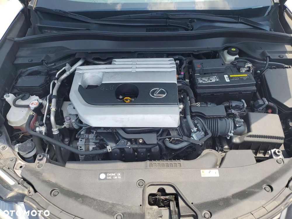 Lexus UX 250h GPF Prestige AWD - 10