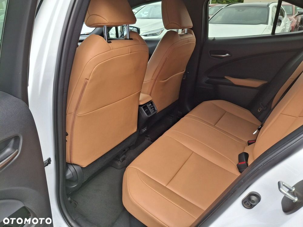 Lexus UX 250h GPF F Sport Design 2WD - 10
