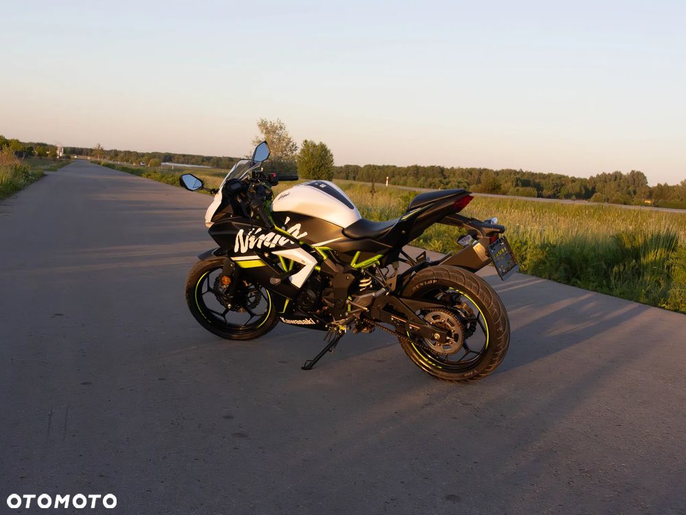 Kawasaki Ninja - 4